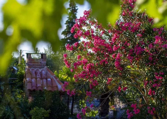 Charming Stone House Ines - Family Holiday In Countryside *