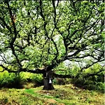 Charming Stone House Ines - Family Holiday In Countryside *