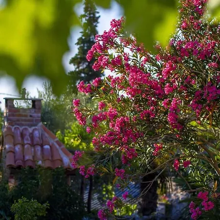 Charming Stone House Ines - Family Holiday In Countryside *